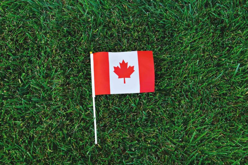 canadian-flag-on-green-grass-background-happy-can-2022-11-11-06-31-18-utc